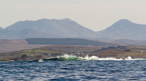 Le spectacle dément des breakers devant les montagnes du Connemara (la mer est on ne peut plus calme, je précise...)