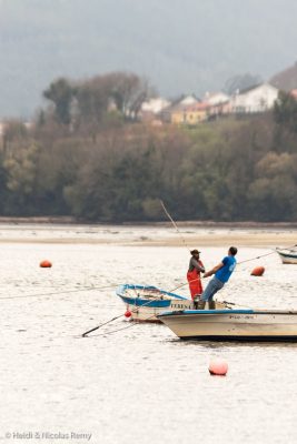 A Noia, nous avons pu admirer l'impressionnante technique de pêche aux fruits de mer