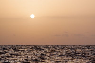 Le ciel devient chargé de brume sèche et prend la couleur du Sahara