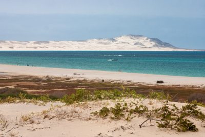 Le désert en mer, ou presque