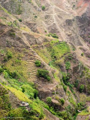 De l'Estrada Corda, on admire les à-pics démentiels de Santo Antão, ainsi que sa verdure si inhabituelle