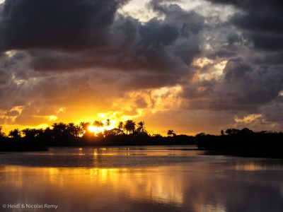 Une certaine image du paradis : pour les hommes avec les palmiers, et pour les moustiques avec la mangrove...