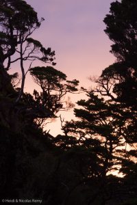 Les lumières des hautes latitudes sont malheureusement rares en raison du temps souvent bouché