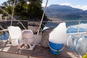 La récolte fut bonne !