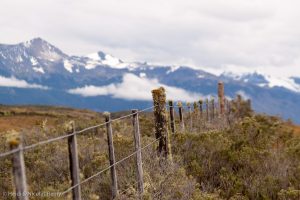 L'Estancia Eberhardt, c'est l'exemple type de la Pampa chilienne