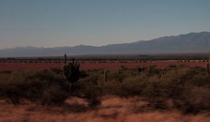 Les vignobles de Cafayate