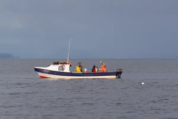 Petite embarcation de pêche au milieu d'un large bras de mer.