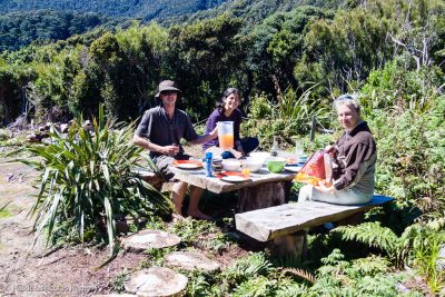 Festin au DOC de Anchor Island (Dusky Sound)