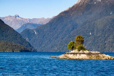 Un lac alpin ? Presque ! Dusky Sound pénètre profondément dans les Alpes du Sud…