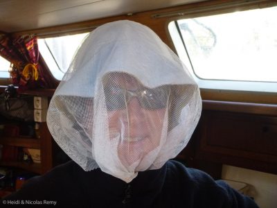 Le rempart ultime contre les sandflies (si seulement !)