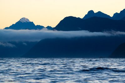 Lever du jour sur le Mt Pembroke. Après 3 semaines de Fiordland, Fleur de Sel approche du mythique Milford Sound.