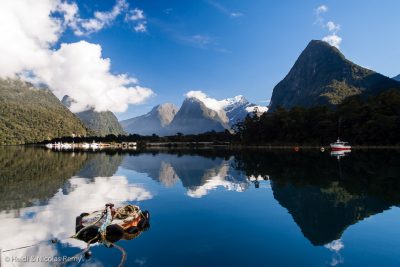 Les pêcheurs sont nombreux à être basés à Milford Sound, accessible par la route, mais pas affreux pour autant !