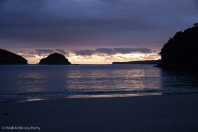 Pas de kiwi en vue sur la plage de Broad Bay