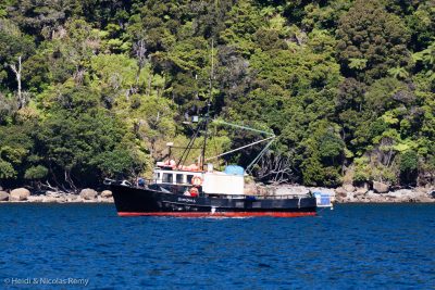 Le pêcheur de langouste Glory Days 6