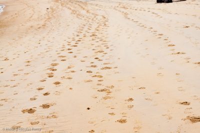 Le parc Abel Tasman est le paradis de la randonnée, comme ici sur la plage de Torrent Bay