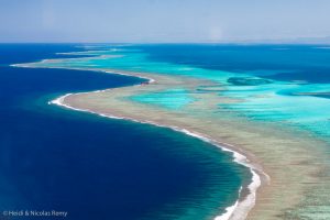 Incroyable récif-barrière, qui ceinture le lagon sur des centaines de km !