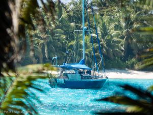 Entre les cocotiers, on aperçoit Fleur de Sel au mouillage dans le lagon