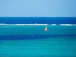 Pêche à la voile sur le lagon de Rodrigues, une voile parmi tant d'autres