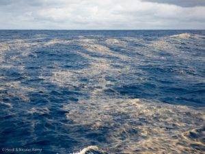 Beurk ! Dégazage de cargo en mer, c'est pas ragoûtant...