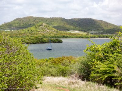 Fleur de Sel tranquille, seule, et à l'abri sur la côte au vent