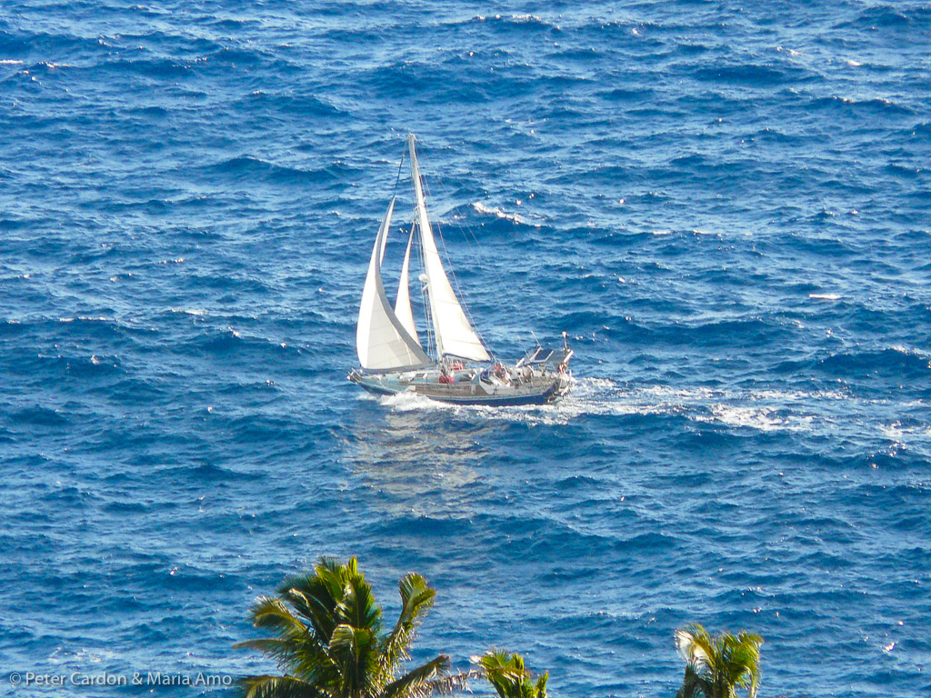 Un peu dépités, nous abandonnons l'idée de débarquer à Pitcairn...