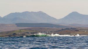 Le spectacle dément des breakers devant les montagnes du Connemara (la mer est on ne peut plus calme, je précise...)