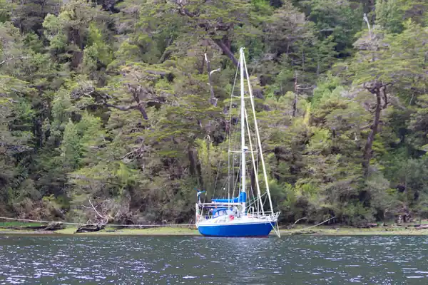 Le voilier de grande-croisière Fleur de Sel, au mouillage devant la forêt pluviale de Patagonie. Il est au mouillage et sécurisé à terre par des amarres à terre.