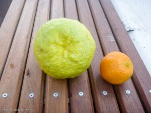 Ne vous fiez pas aux apparences, les deux sont des citrons !